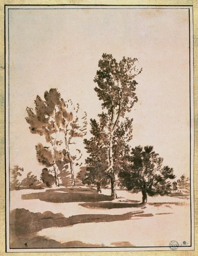 Tree Study by Nicolas Poussin